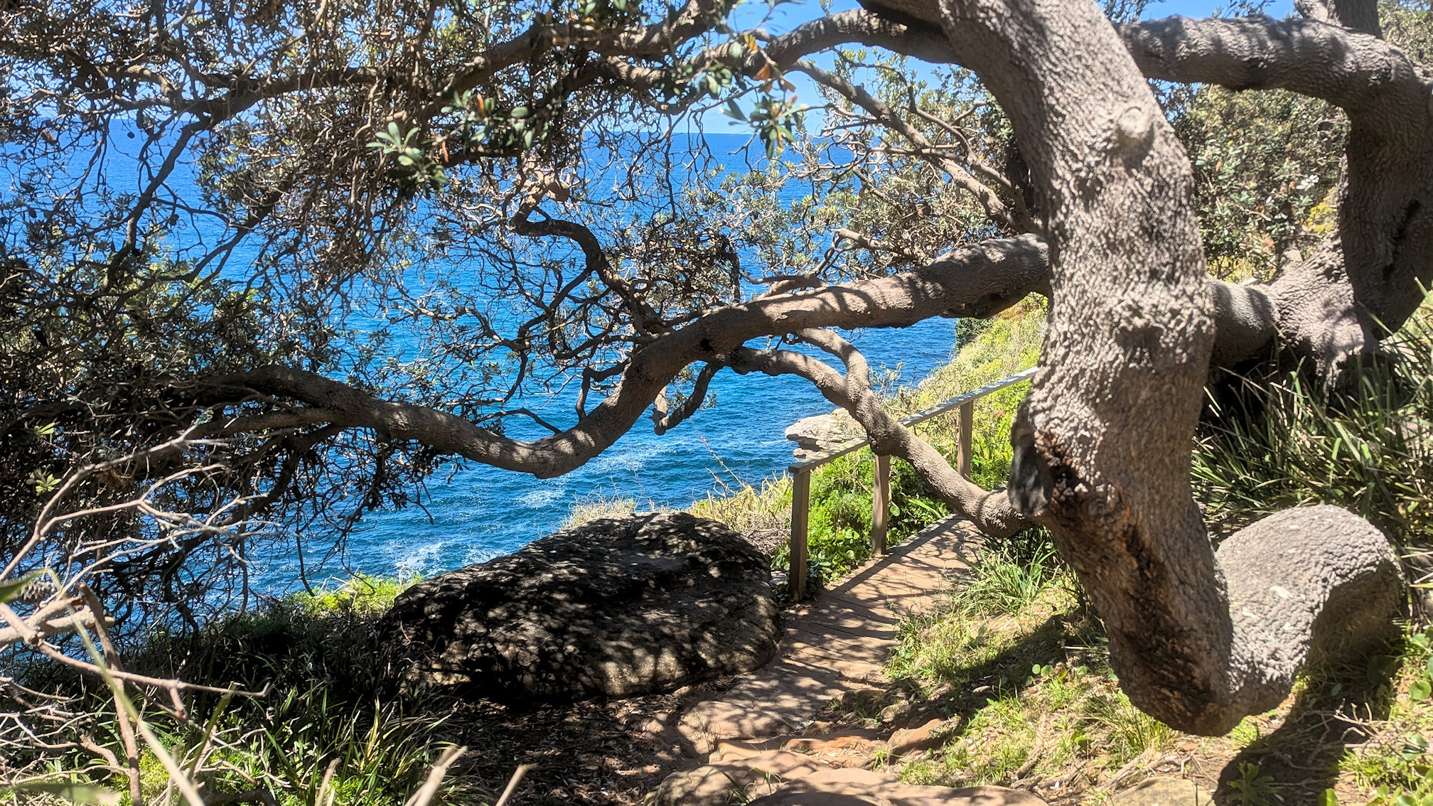 dy_curlcurl track (4)